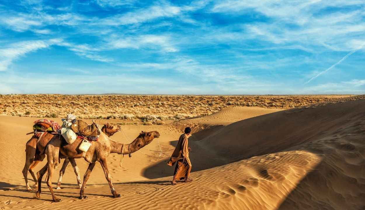 jodhpur